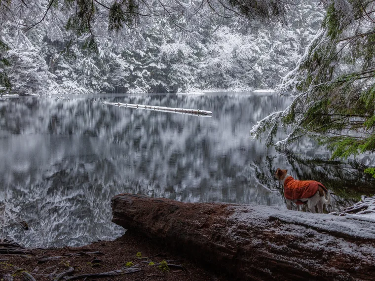 Quiet winter morning by a mountain lake in Squamish